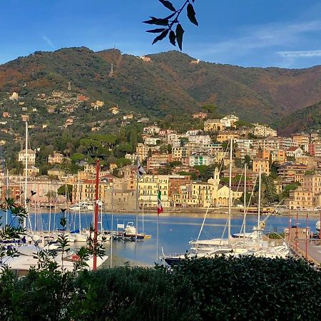 Bella Vacanza - City Center -Air Conditioning -Wi-Fi Rapallo Exterior photo